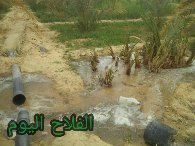 مدبولي: "تطوير منظومة الري والصرف" يوجد حلولًا جذرية لمشكلة عانت منها سيوة لعقود 1 1 95