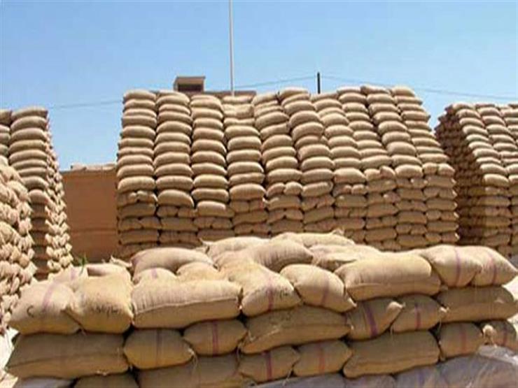 "تموين الدقهلية": توريد 340 ألفا و582 طن قمح منذ بداية الموسم 1 2017 6 9 13 49 25 6591688581502