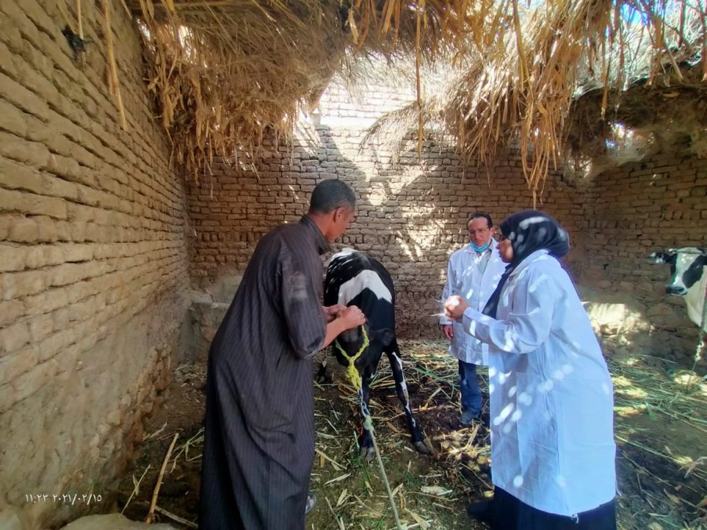 "بيطري جنوب سيناء": انطلاق الحملة القومية للتحصين ضد الحمى القلاعية والوادي المتصدع 1 2021 637490845425616741 5611689504423