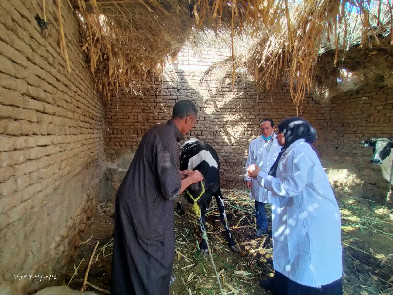 "بيطري جنوب سيناء": انطلاق الحملة القومية للتحصين ضد الحمى القلاعية والوادي المتصدع 1 2021 637490845425616741 5611689504423