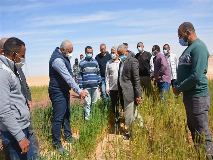 محافظ الوادي الجديد : نسعى للتوسع في الزراعة التعاقدية لتقليل استيراد السلع الاستراتيجية 1 2021 3 13 23 40 4 761690290123