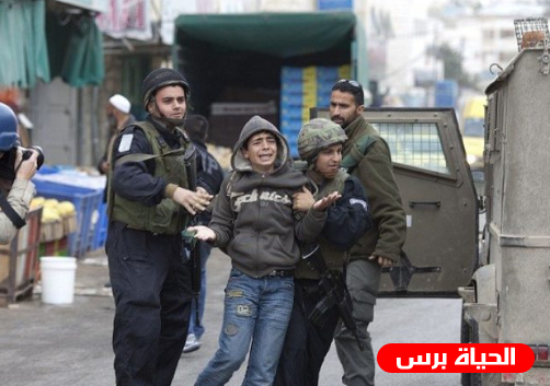 الاحتلال الإسرائيلي يحكم على مقدسي بالسجن 14 عامًا ويستدعي مقدسيًا مُصابًا بمتلازمة "دوان" للتحقيق 1 5e31977e2cb631688893443