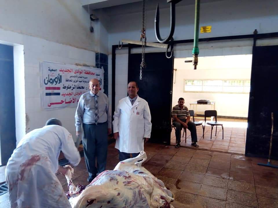 60334 مجازر الوادى الجديد تواصل استقبال أضاحى المواطنين (6)1688208003