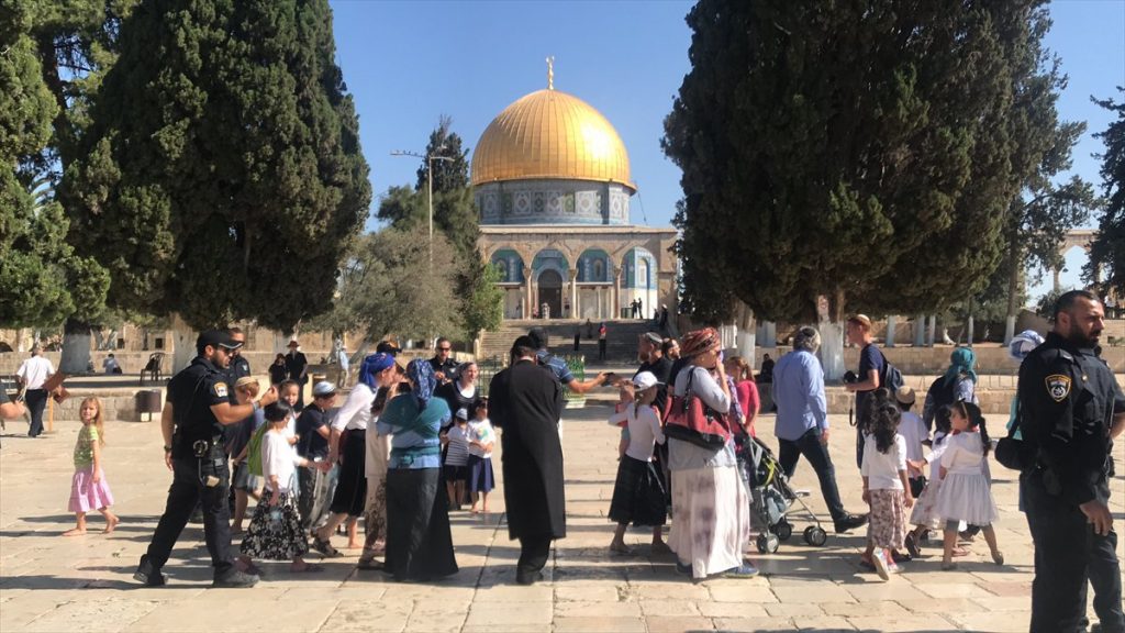 مجلس حكماء المسلمين يدعو لتحرك عاجل لوقف عدوان الاحتلال الإسرائيلي على جنين 1 6368835488752441141688410563