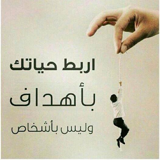 أمين "حكماء المسلمين": هدفنا تشجيع الشباب من أجل الإسهام في بناء مستقبل أفضل لأنفسهم والإنسانية 1 9337 11689154264
