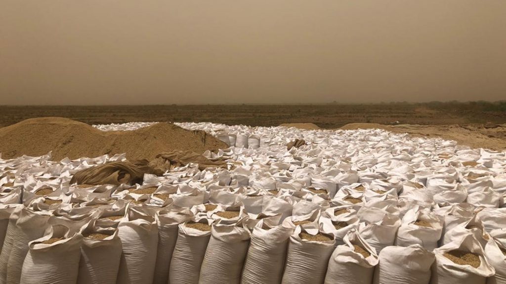 موريتانيا تتوقع أن يصل إنتاجها الزراعي لنحو 777 ألف طن 1 9c508973 887a 48ad aff3 8721338360e31689892802