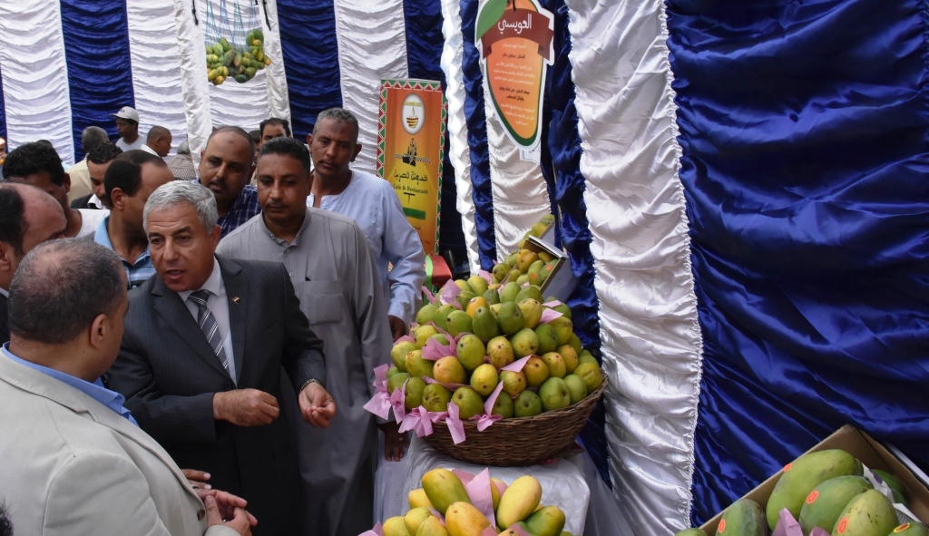 محافظ أسوان يفتتح مهرجان المانجو السنوي في عامه الثالث على التوالي 1 DSC 57271689542282