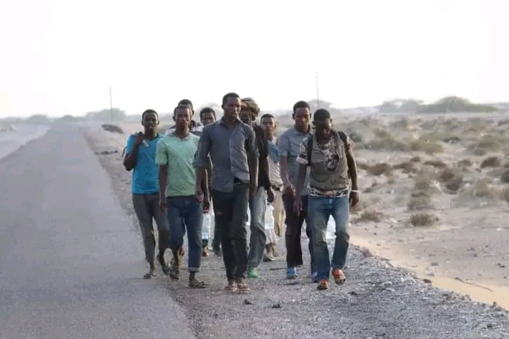 المنظمة الدولية للهجرة: أكثر من 77 ألف مهاجر عبروا خليج عدن إلى اليمن حتى منتصف العام الجاري 1 FB IMG 165536666781882011688566263