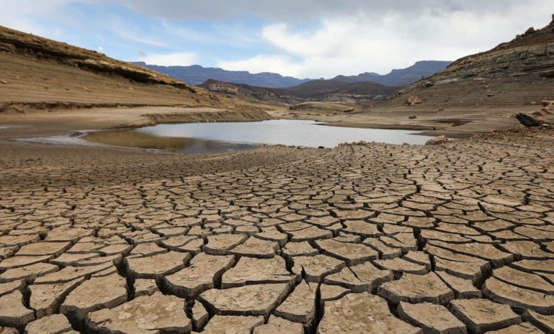 Yogi sisuluDrought option 1 1600x800 1 1536x7681689089703