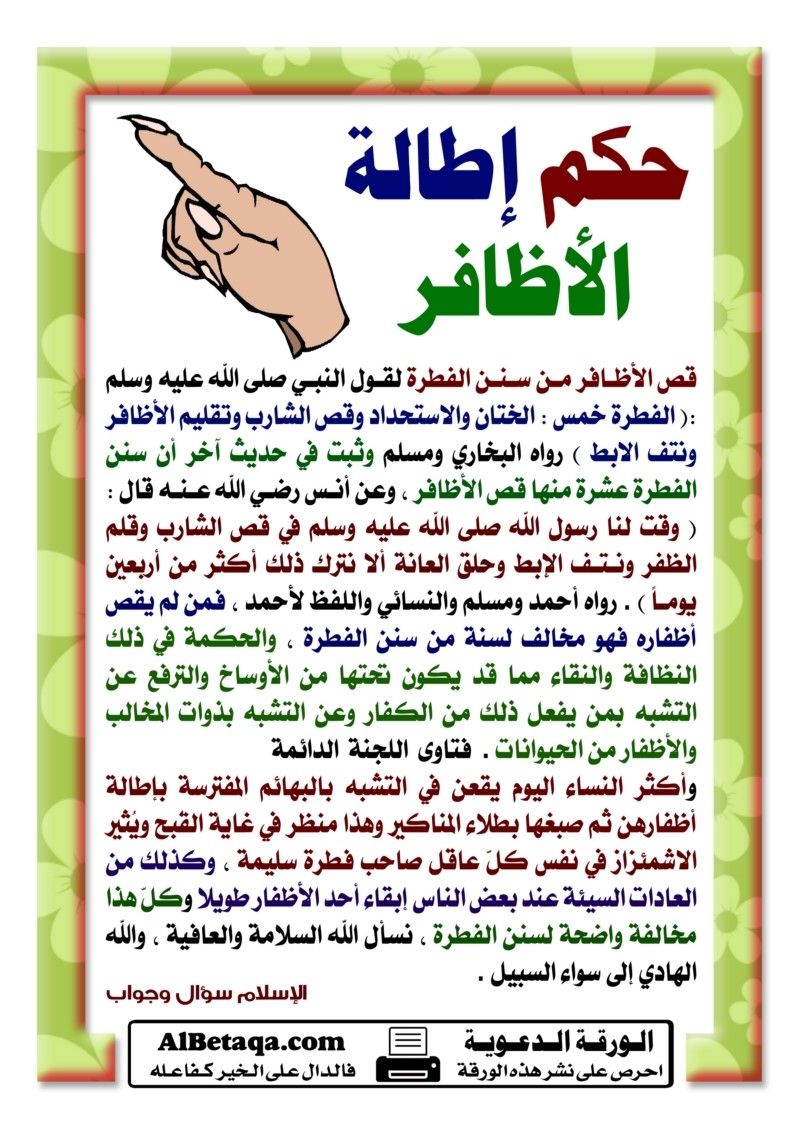 واعظات الأوقاف: المؤمن الحق هو الذي يتخلق بأخلاق القرآن الكريم ويتأدب بآداب النبي 1 c37ad31b386530d96df130bf2f2c74931690555503