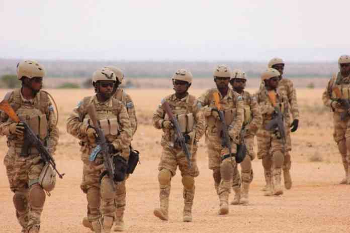 قوات الأمن الصومالية تنفذ عملية أمنية في إقليمي شبيلي الوسطى والسفلى 1 danab 768x512