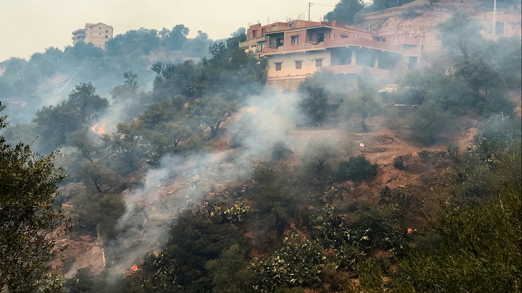 الجزائر: إخماد جميع الحرائق المندلعة في عدة مدن باستثناء حريق واحد 1 image1690381863
