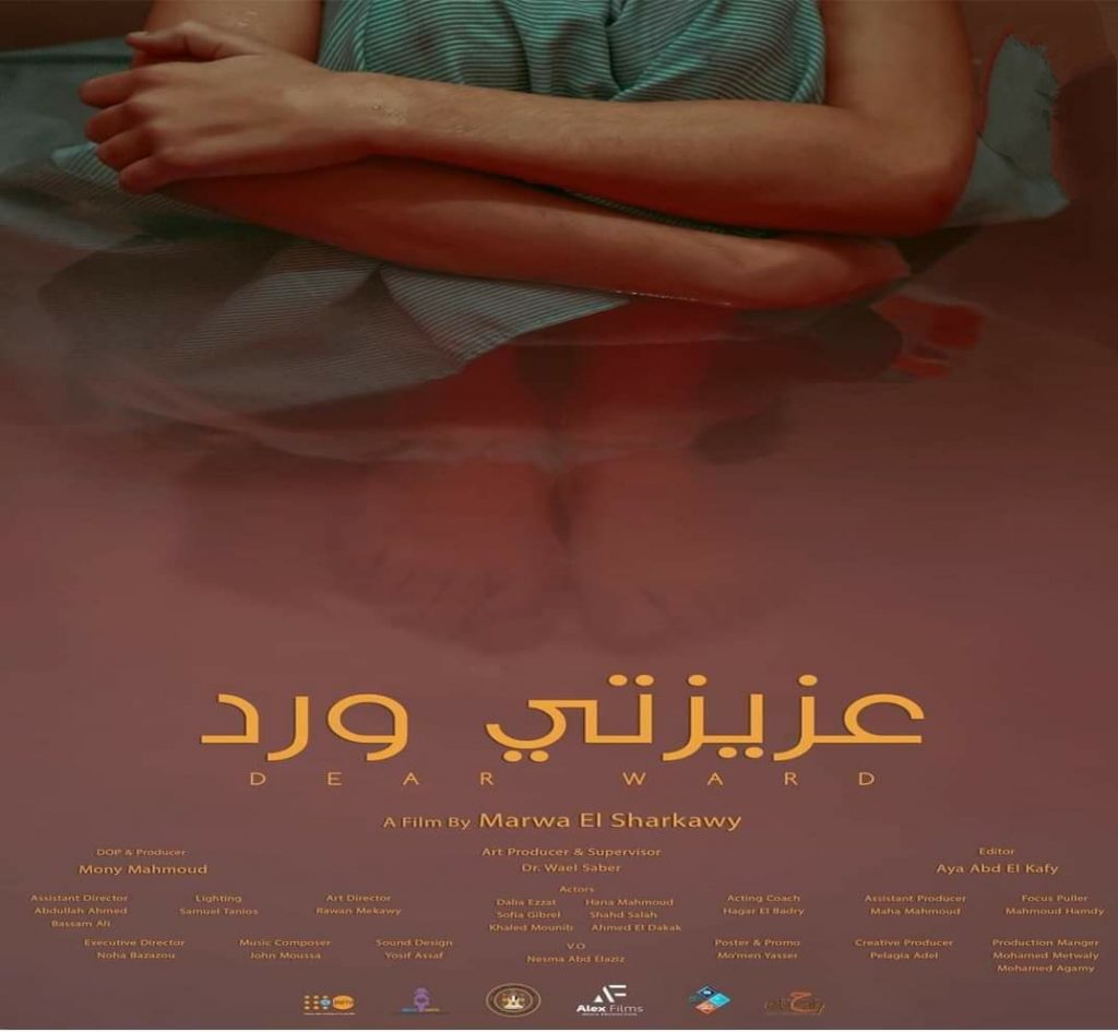 فيلم "عزيزتي ورد" يشارك في مهرجان كولن للسينما الأفريقية في ألمانيا 1 inbound39779751934813301481689878404