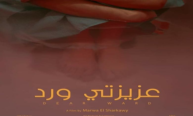 فيلم "عزيزتي ورد" يشارك في مهرجان كولن للسينما الأفريقية في ألمانيا 1 inbound39779751934813301481689878404