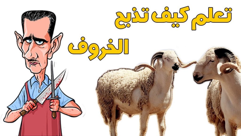 محافظ كفرالشيخ: ذبح 1926 أضحية خلال أيام عيد الأضحى بزيادة 150 رأسا عن العام الماضي 1 maxresdefault1688235063