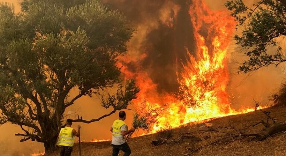 الجزائر: إخماد غالبية الحرائق التي طالت عدة مدن بنسبة 80% 1 topic4297751690297143