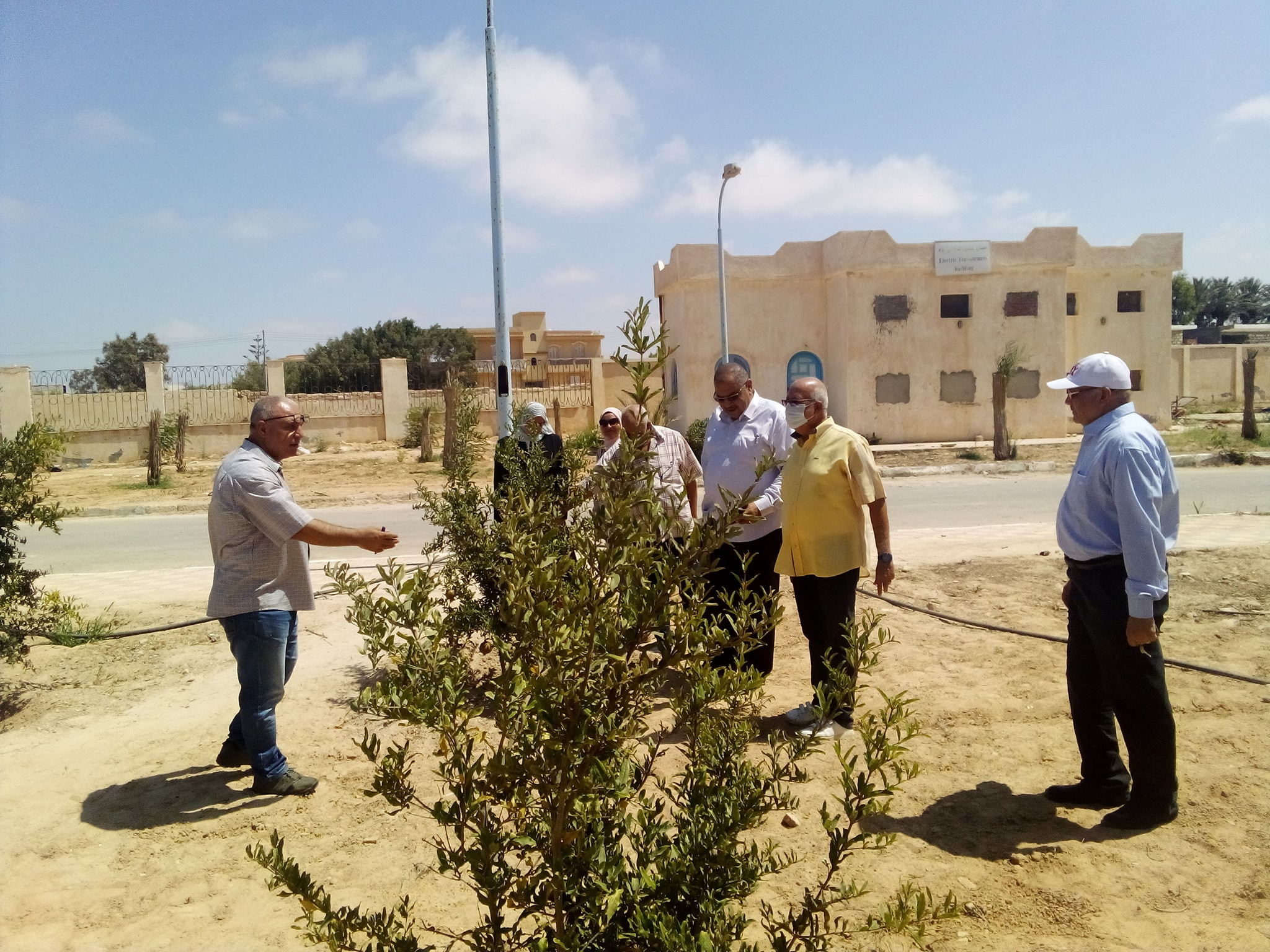 اساليب زراعية حديثة في التدريب الصيفي لطلاب الزراعة المطرية بمطروح 1599135747 01689868683