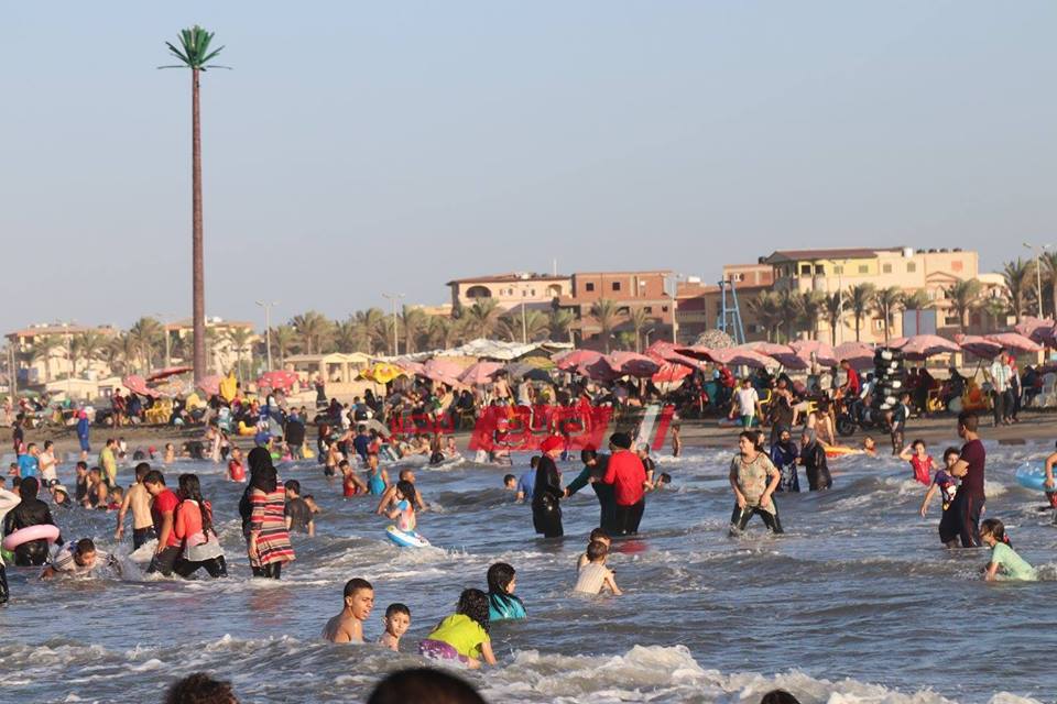بلطيم 11690569483