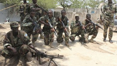 عملية أمنية للجيش الصومالي لمطاردة فلول الشباب الجيش الصومالي جنوبي البلاد 1 768x4151688803204