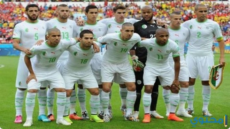 رباعي المنتخب الجزائري للملاكمة النسائية يتأهل إلى نهائي البطولة الإفريقية 1 الجزائر 161691192884
