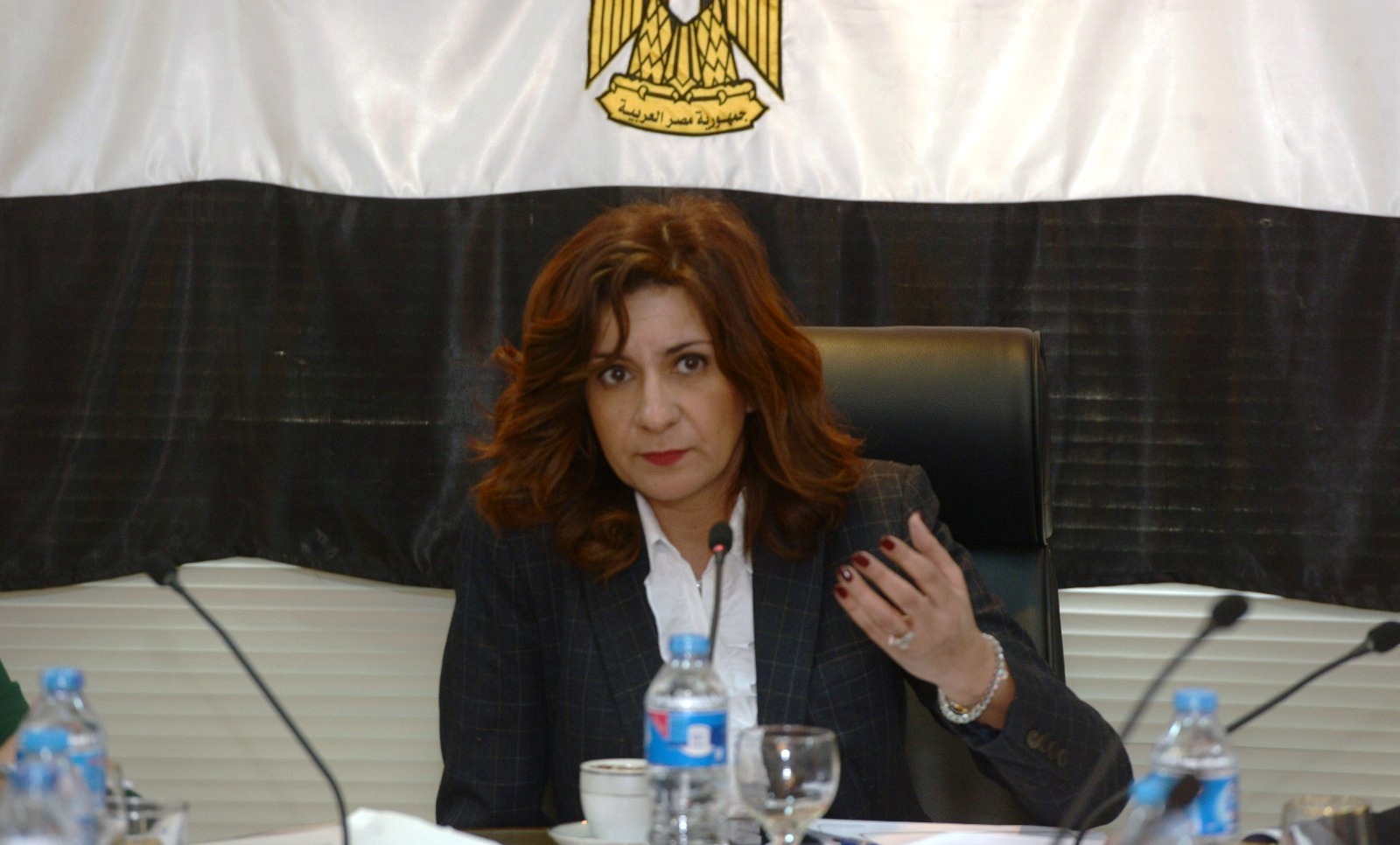 وزيرة الهجرة تتابع أعمال لجنة "سيارات المصريين بالخارج".. وتهيب بسرعة استكمال التسجيل في المبادرة 1 134501691225704
