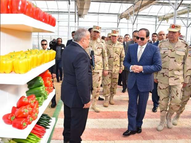 مستشار وزير الزراعة ل"أ ش أ": مشروع الصوب الزراعية وفر لمصر المحاصيل في فترات أزمات عاشها العالم 1 184644000915455103731692341464