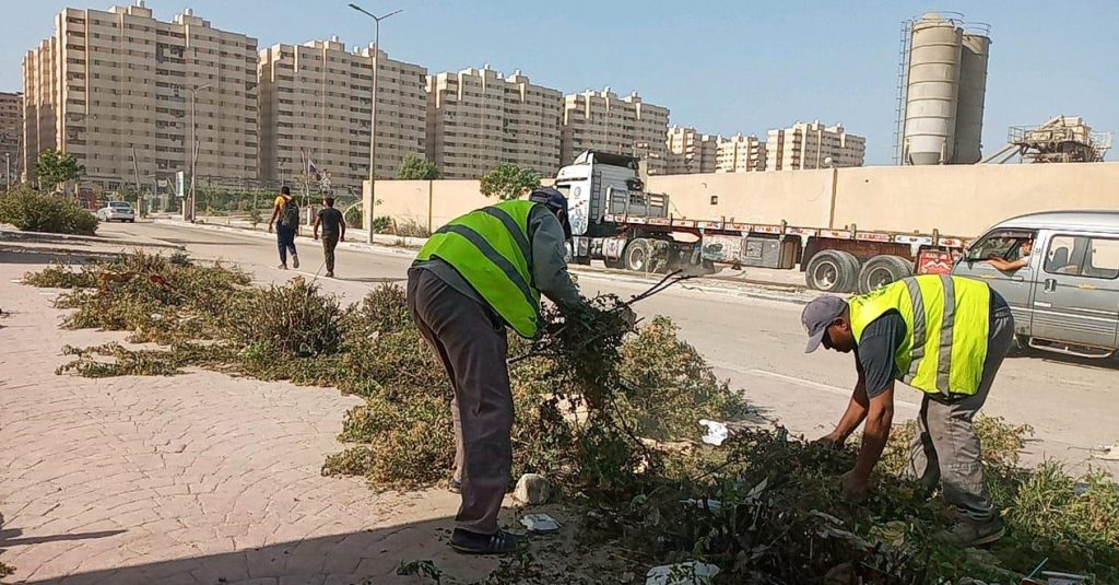 محافظ الإسكندرية: رفع نحو 27 ألف طن مخلفات صلبة من الشوارع 1 188970 إزالة المخلفات من الشوارع1692871984