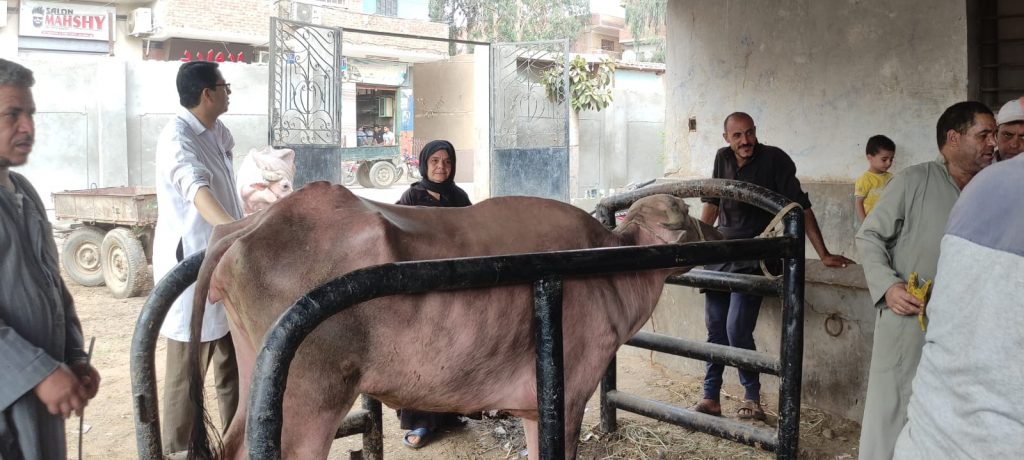 "التناسليات الحيوانية" يطلق قافلة بيطرية مجانية بقرى محافظة القليوبية 1 19 2021 637629942002960222 2961691501225