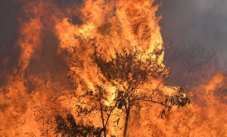 الولايات المتحدة : حصيلة المفقودين جراء حرائق هاواي بلغت 388 شخصا 1 5d29c436d4375008038b462d1692951063