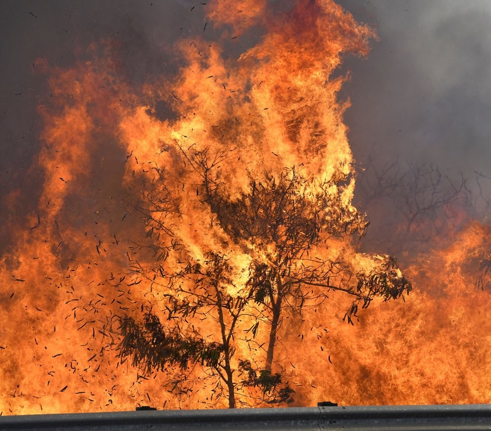 الولايات المتحدة : حصيلة المفقودين جراء حرائق هاواي بلغت 388 شخصا 1 5d29c436d4375008038b462d1692951063