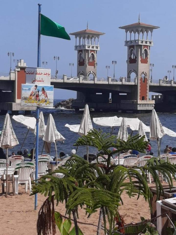 الإسكندرية: 12 ألف مشارك بمبادرة "صيف شبابنا" .. ورفع الرايات الخضراء بجميع الشواطئ 1 7451691404803