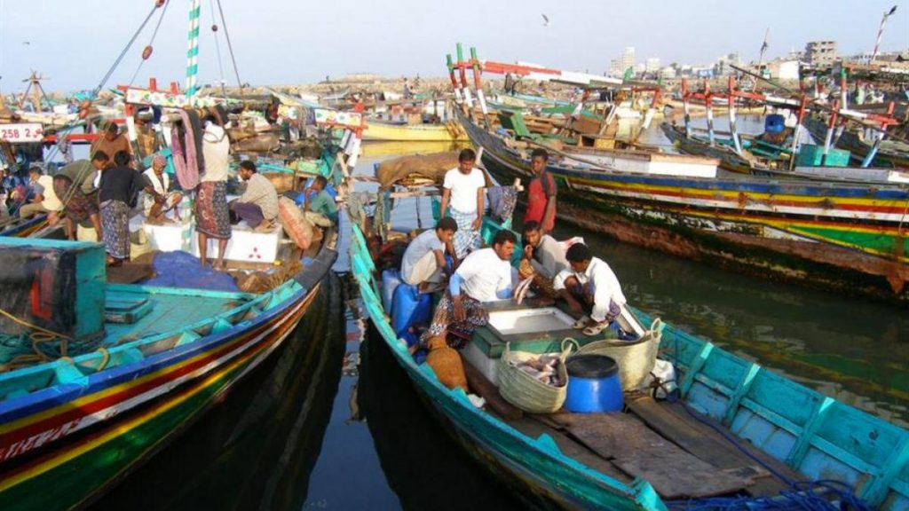 حكومة اليابان تدعم قطاع الأسماك عقب حظر الصين استيراد المأكولات البحرية اليابانية 1 Localnews اليابان تقدم منحة مالية لاحياء قطاع صيد الاسماك في اليمن1693030803