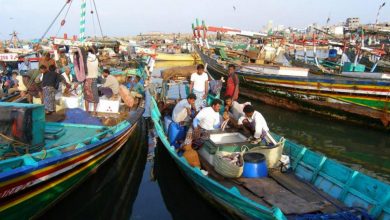 Localnews اليابان تقدم منحة مالية لاحياء قطاع صيد الاسماك في اليمن1693030803