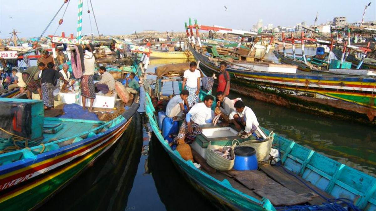 حكومة اليابان تدعم قطاع الأسماك عقب حظر الصين استيراد المأكولات البحرية اليابانية 1 Localnews اليابان تقدم منحة مالية لاحياء قطاع صيد الاسماك في اليمن1693030803