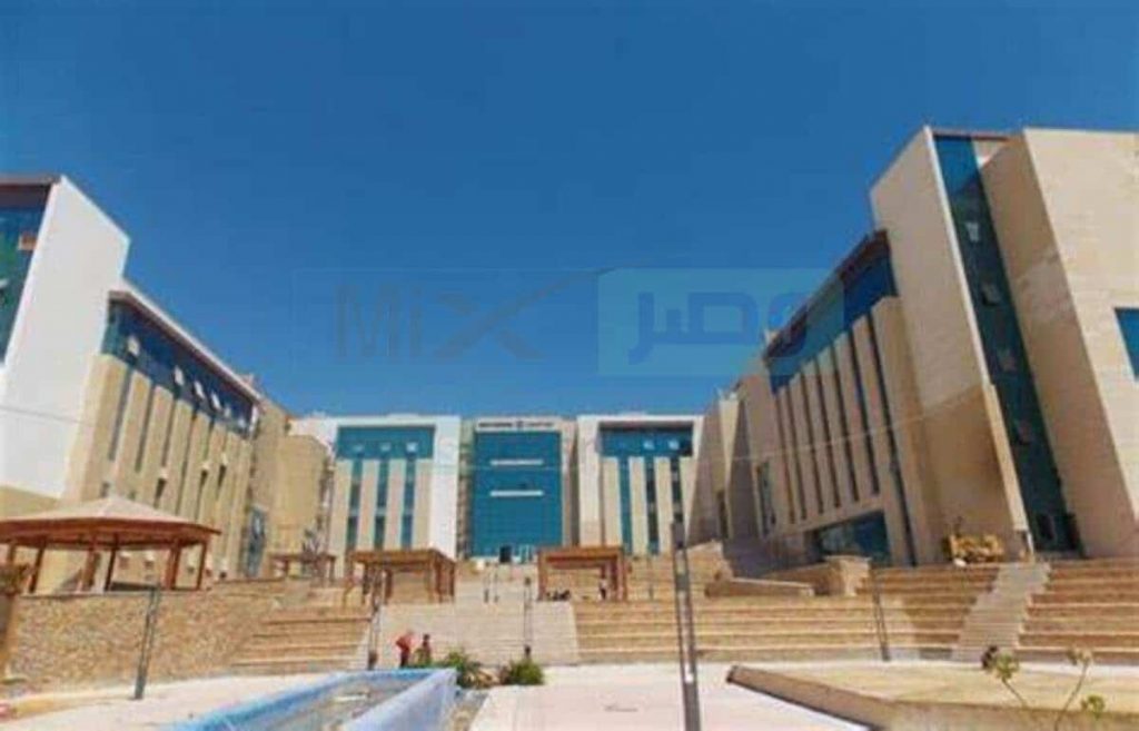 رئيس جامعة المنصورة الأهلية: الجامعة تعد إنجازا كبيرا تحقق في وقت قياسي 1 OIP 41691052964