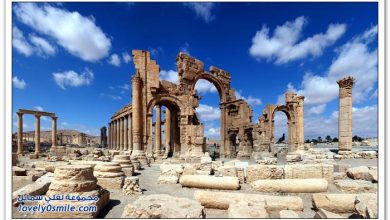 Palmyra City in Syria 011693482423