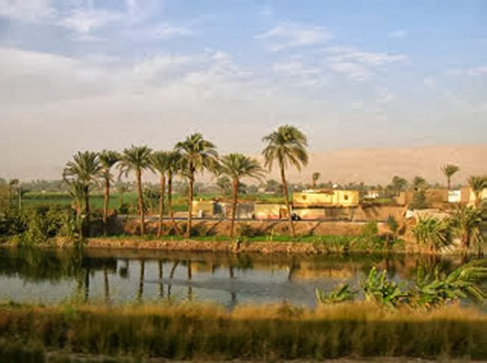 "الريف المصري":شق وتمهيد 500 كيلومتر طرق ومدقات بأراضي مشروع ال 1.5 مليون فدان بغرب المنيا 1 bf4ae727a61691577005