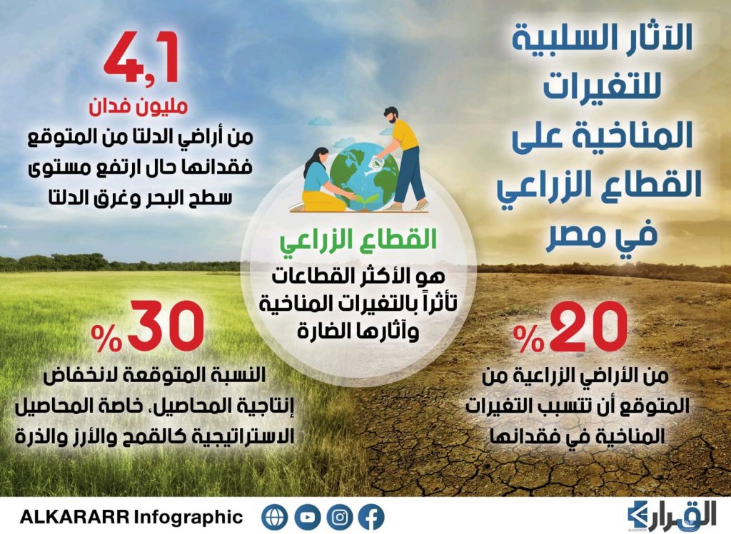 "معلومات الوزراء" يعقد جلسة حول تأثير التغيرات المناخية على مستقبل الإنتاج الزراعي في مصر 1 fc6547b0 c828 483a 87df e80f076729f31693304943