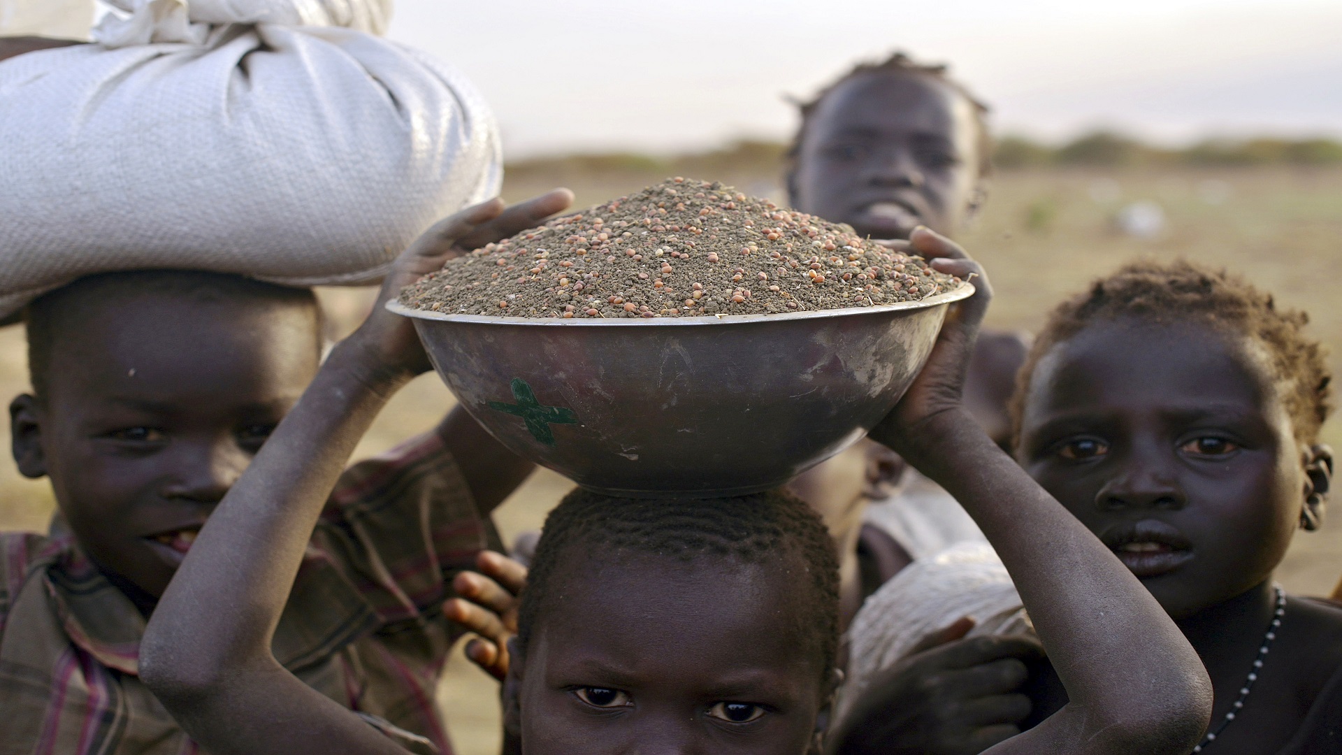 الفاو .. أزمة الأمن الغذائي فى السودان تتفاقم وسط الصراع المستمر والتحديات الاقتصادية 1 ff2d8fa2 69da 41e8 b9ab 8c9bb8e15faf1691072523