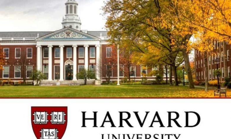 harvard 800x600 min1691339103