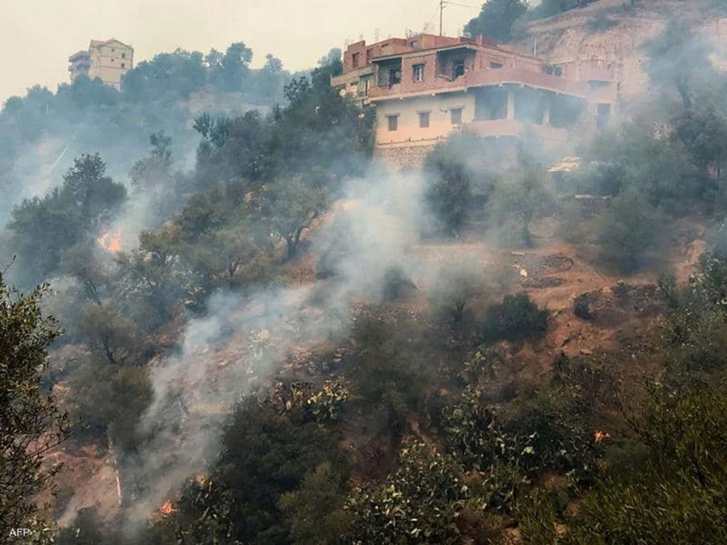 الرئيس الجزائري يعزي بايدن جراء ضحايا حرائق غابات جزيرة ماوي الأمريكية 1 image1691883243
