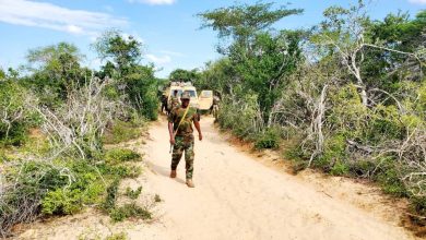 الجيش الوطني الصومالي يقتل أكثر من 70 إرهابياً من حركة الشباب في جيلابل بمنطقة شبيلي الوسطى1691850304