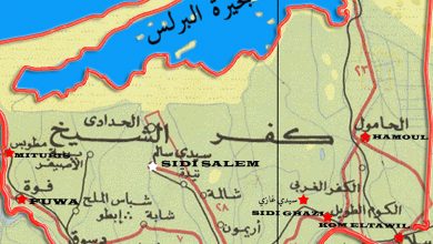 كفر الشيخ1693332903