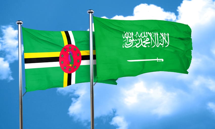 السعودية تبحث مع دولتي ناورو وكومنولث دومينيكا العلاقات الثنائية 1 وزير السياحة السعودي يزور دومينيكا لتعزيز العلاقات الثنائية بين البلدين1695830763