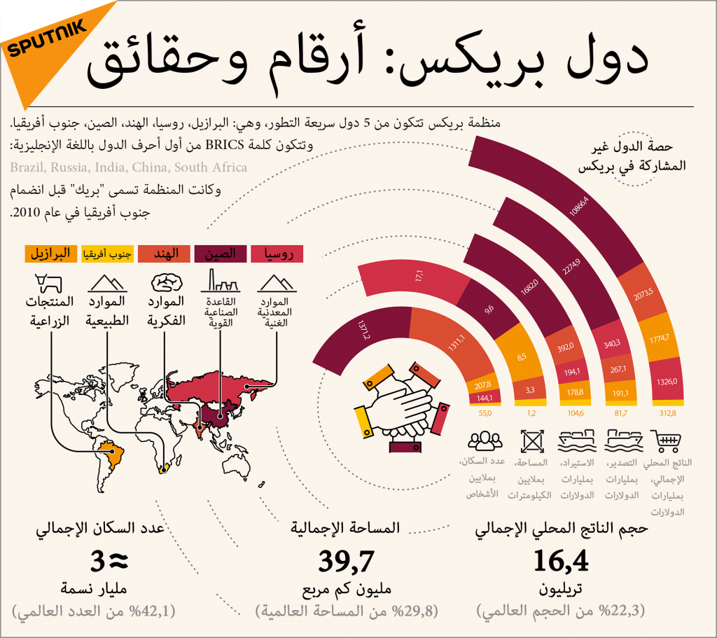 "البريكس" تدعو لإصلاح المنظمات الدولية 1 10206028201695914764