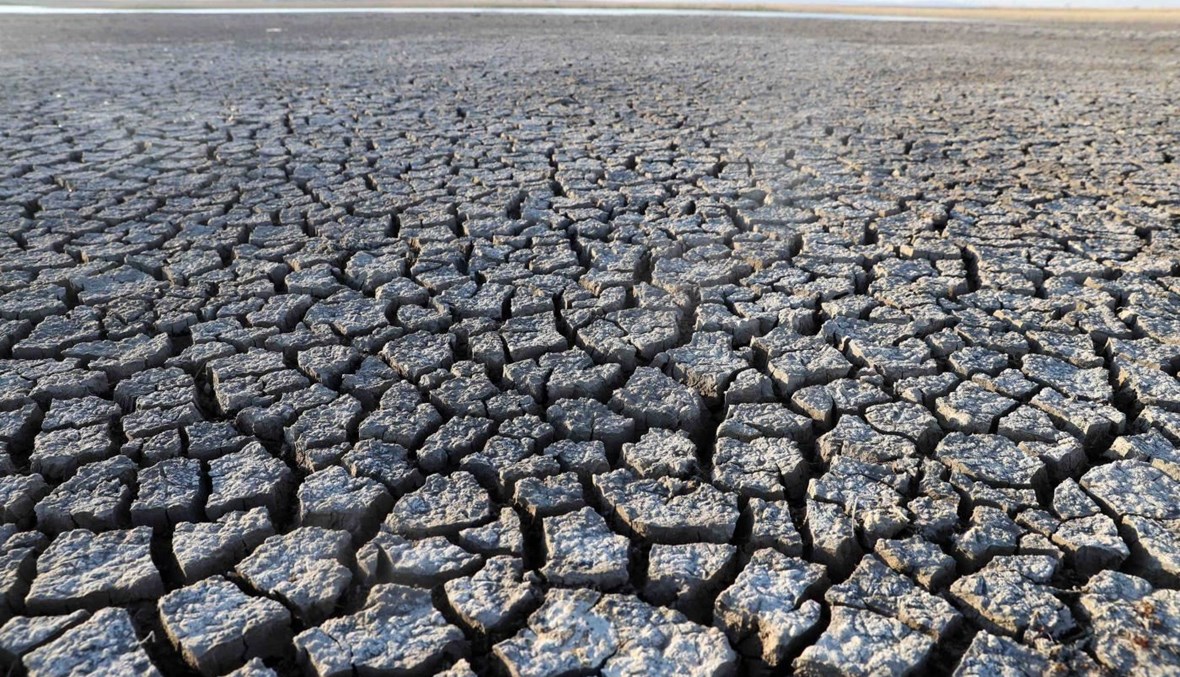 برنامج الغذاء العالمى: 12.8 مليون دولار لمكافحة آثار الجفاف الوشيكة فى 4 بلدان فى الجنوب الإفريقى 1 121975Image1