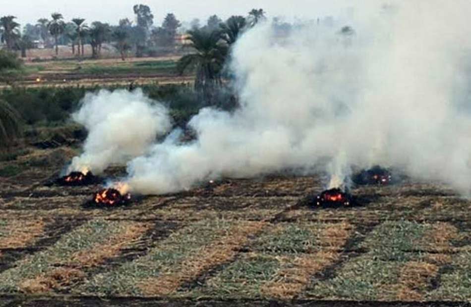 محافظ الجيزة : منع أى حالات للحرق المكشوف للمخلفات وتحرير محاضر بيئية للمخالفين لمواجهة السحابة السوداء 1 19 2022 637985871181594867 1591694778183
