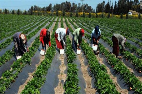 وزراء الصحة الأفارقة يعلنون عن استراتيجية إقليمية لتكثيف الجهود ضد مقاومة مضادات الميكروبات 1 201906221329595731693999743
