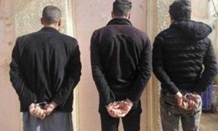 ضبط كميات من المواد المخدرة وتنفيذ 820 حكما قضائيا في دمياط وأسوان 1 2022 3 2 12 9 51 9611694168103