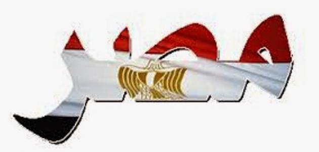 أمين وزارة الشئون الإسلامية بموريتانيا: مصر هي أرض الكنانة والمفكرين والأدباء والشعراء 1 31810616585426031694255223